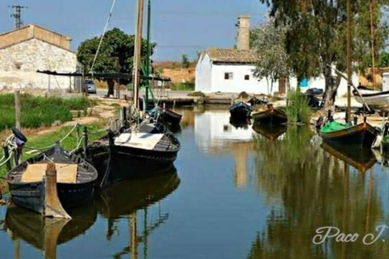 Silla Albufera