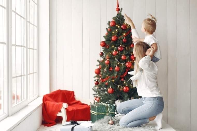 L'Arbre de Nadal i el Betlem