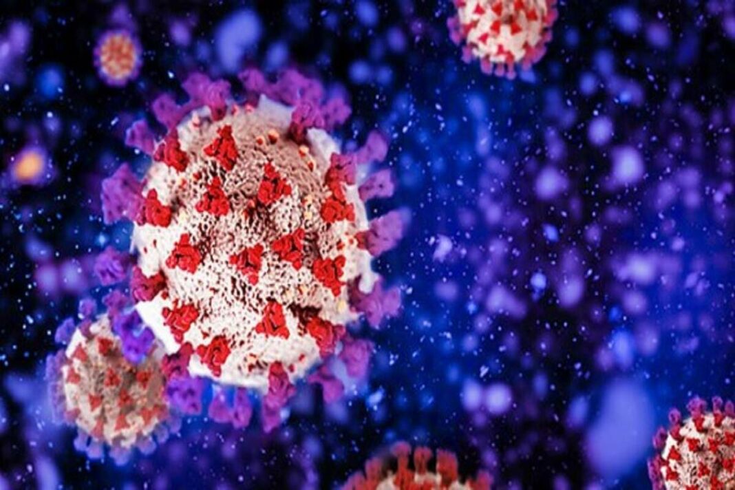 Molècula de coronavirus