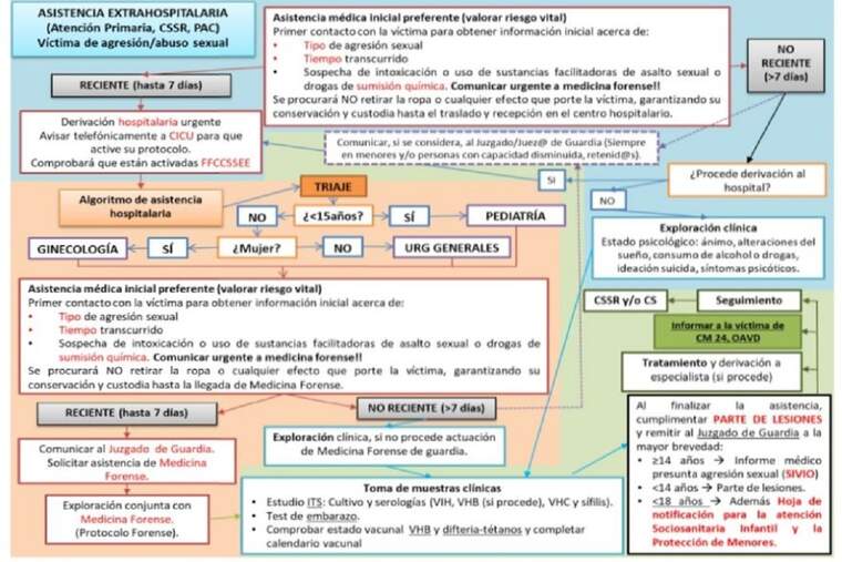Aspectes que contempla el protocol d'agressió sexual de la Comunitat Valenciana que es difon a l'à mbit sanitari