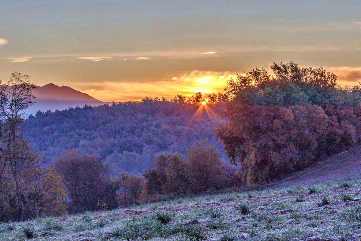 Imatge d'una sortida de sol hivernal amb gebre