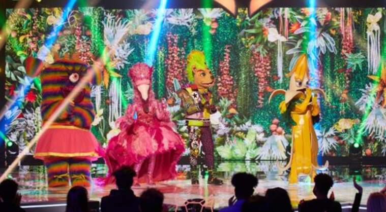 Mask Singer Gos i Flamenc