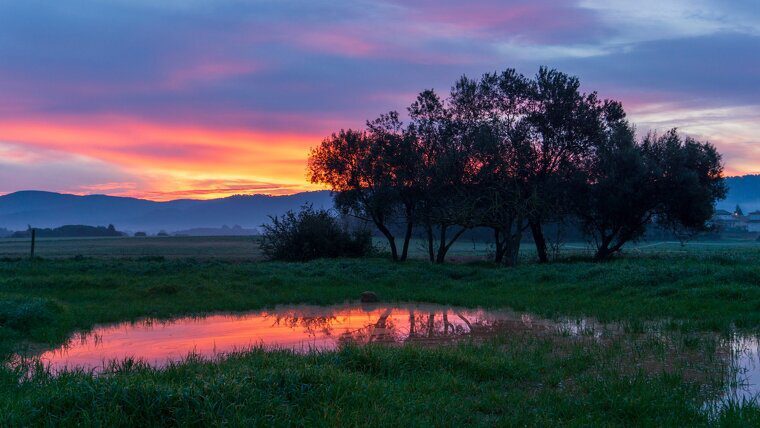 Sortida de sol rogenca a Cardedeu, VallÃ¨s Oriental