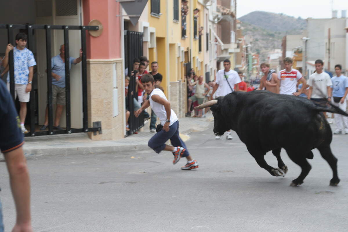 Bous al Carrer