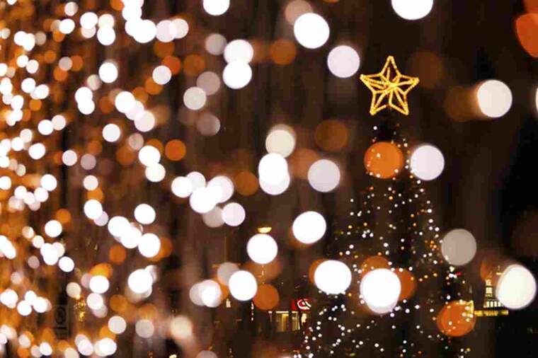 Imatge d'un arbre de Nadal amb llums