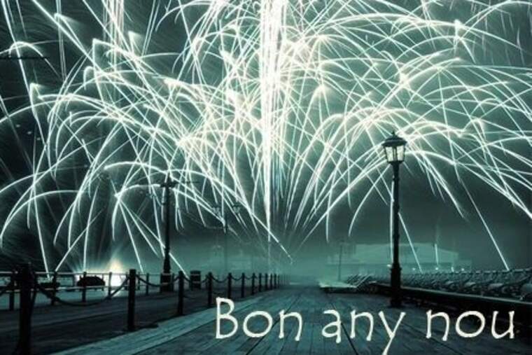 Bon any nou