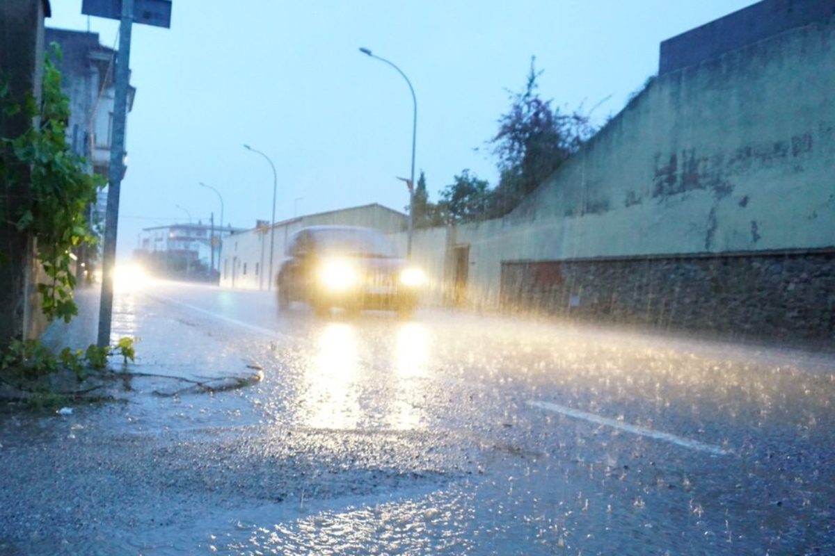Imatge d'un xà fec a Verges, Baix EmpordÃ