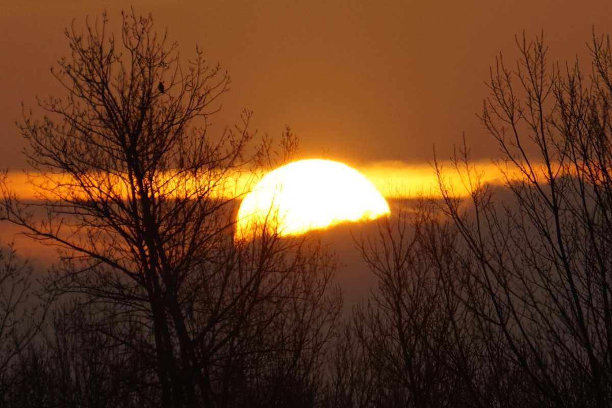 Imatge d'una sortida de sol entre nÃºvols