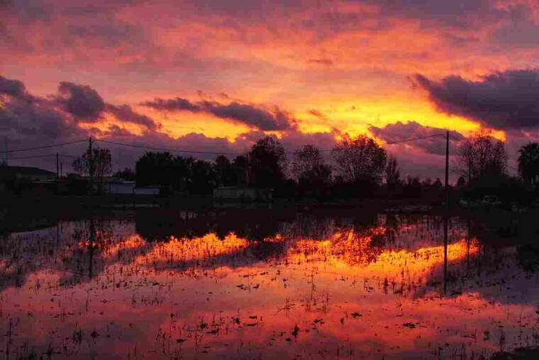 Imatge d'una sortida de sol rogenca al Delta de l'Ebre