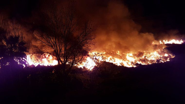 Les flames han cremat arbustos i matolls que es trobaven propers a la fà brica