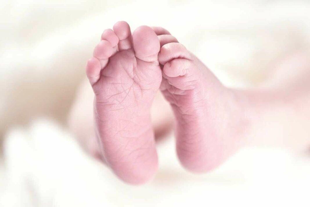 El menut estava a càrrec de sa tia en una festa privada d'adults