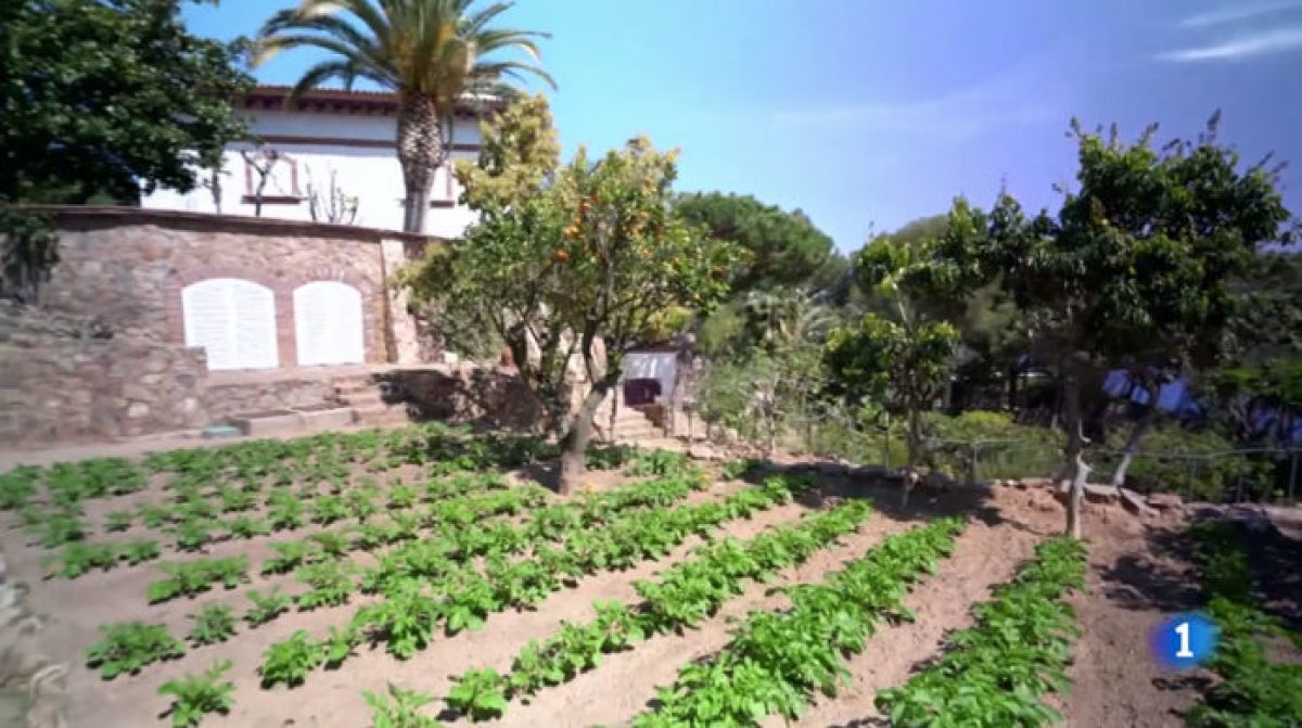 L'hort situat a l'habitatge