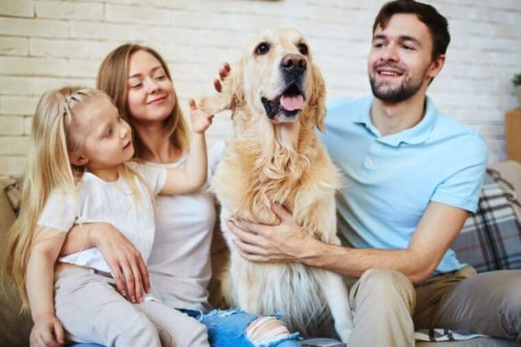 Demanen que als pares que maltracten als seus animals se'ls denegue la custòdia dels fills