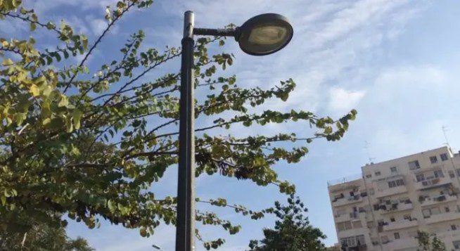 fanal-valencia Mor una dona en caure un fanal a la ciutat de València. / Arxiu